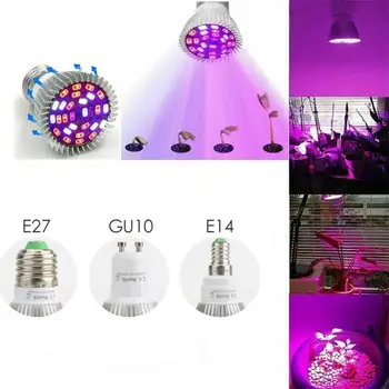 LED Fito Augti Šviesos Pilno Spektro Phytolamp E27 Augalų Lemputė Kambarinių Augalų Šiltnamio efektą sukeliančių Gėlių Sėklos LED Hydroponic Augimo Šviesos